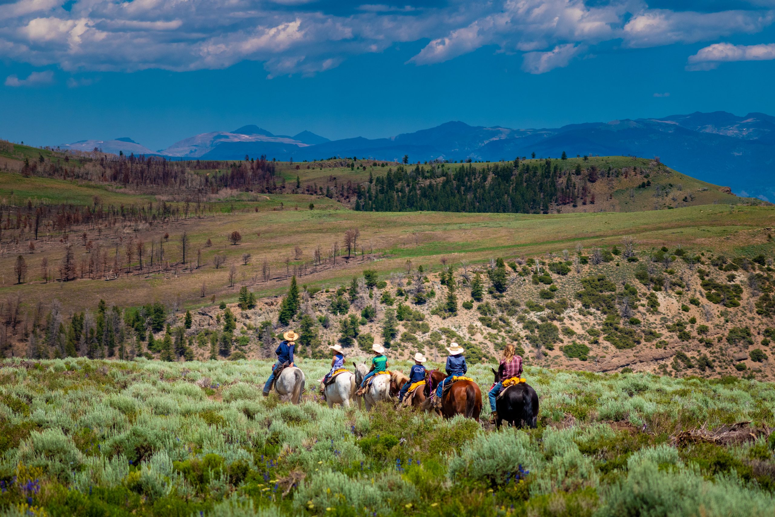 Drowsy Water Ranch photo 5