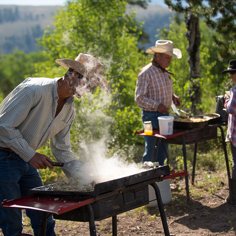 Camp cooking