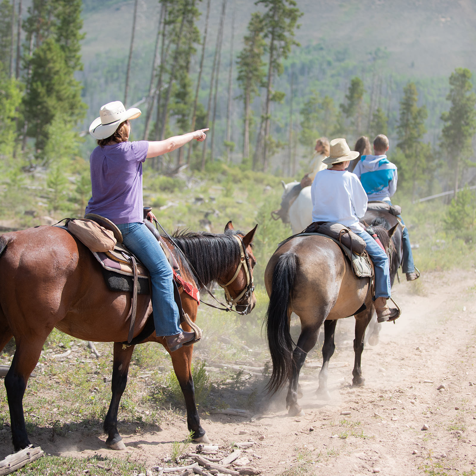 rider-1600px Scenic trail ride for the guests